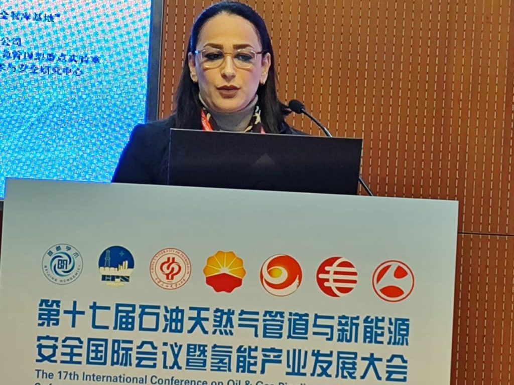 7fc08def-5a22-4002-bb00-0d2e9ad31347-1024x768